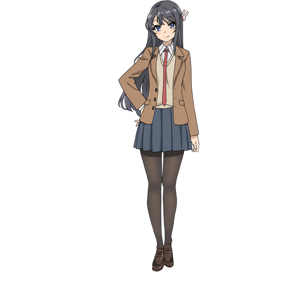 Rascal Does Not Dream of Bunny Girl Senpai / Characters - TV Tropes