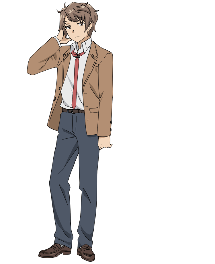 Rascal Does Not Dream of Bunny Girl Senpai by Hajime Kamoshida